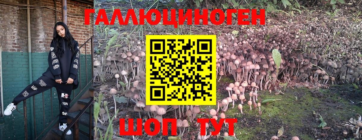 Гусь-Хрустальный  Галлюциногенные грибы Psilocybine cubensis  где купить наркотик  Вход с VPN 